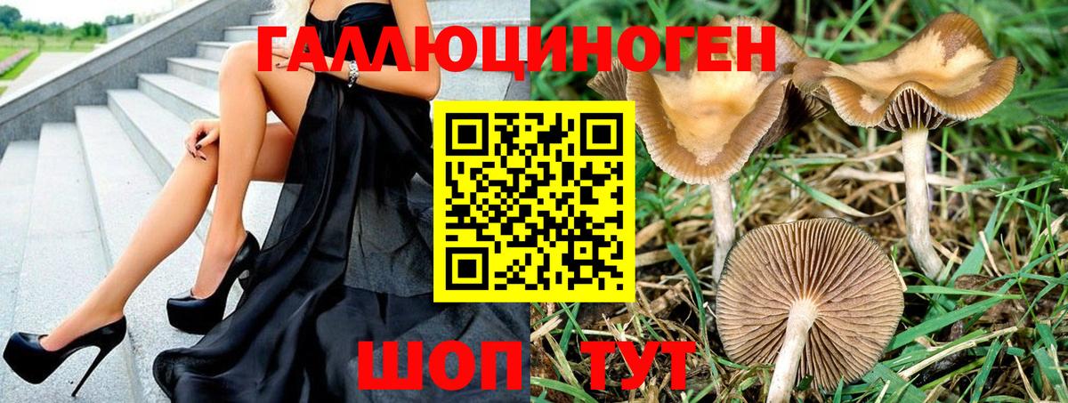 Псилоцибиновые грибы MAGIC MUSHROOMS Киров