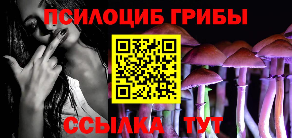 Киров  Псилоцибиновые грибы MAGIC MUSHROOMS  Галлюциногенные грибы Magic Shrooms  Вход с VPN 