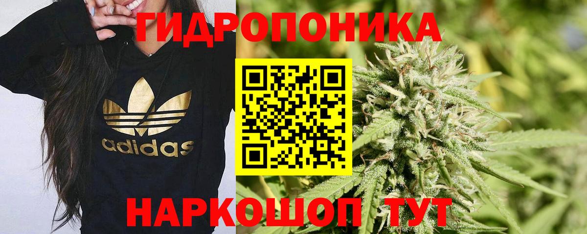 Каннабис MAZAR Киров