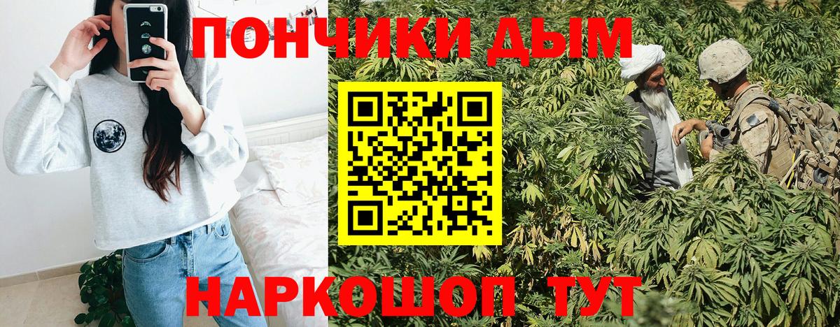 Конопля OG Kush  Вход с VPN  Каннабис планчик  Бошки Шишки семена  Киров 